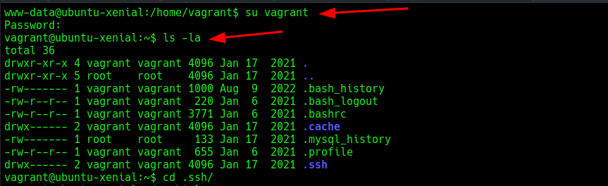 Vagrant user found