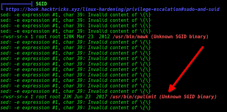 Privilege escalation binary